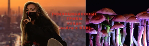 круглые Ельня
