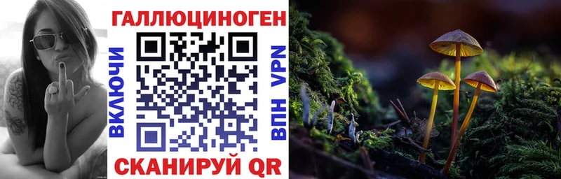 где можно купить наркотик  Челябинск  Галлюциногенные грибы Psilocybe 