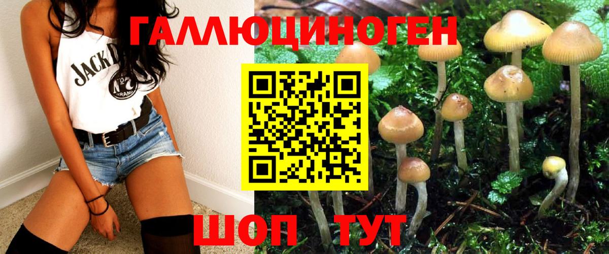 Челябинск  Псилоцибиновые грибы прущие грибы  Вход с VPN 