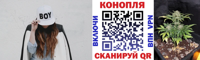 Бошки марихуана OG Kush  Челябинск 